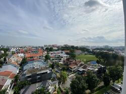 lorong-ah-soo photo thumbnail #4